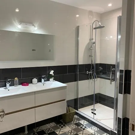 Longere Du Chateau Vieux Mougnac * Petit-Palais-et-Cornemps